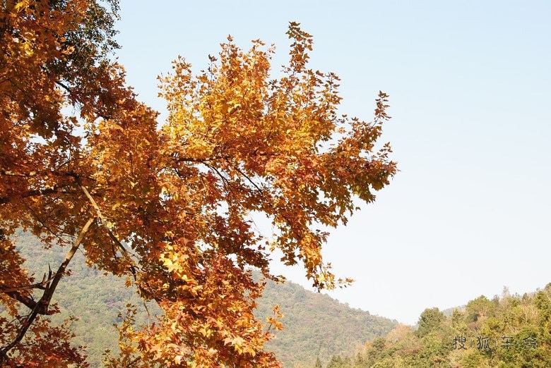 2014元旦从化石门国家深林公园一日游_比亚迪