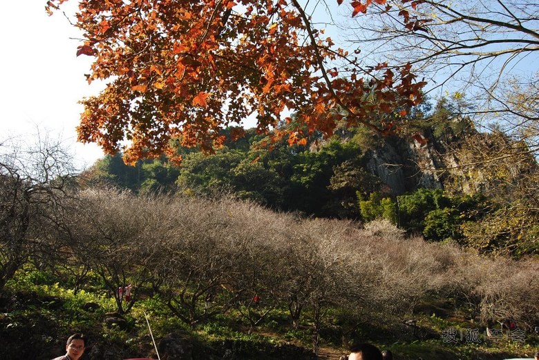 2014元旦从化石门国家深林公园一日游_比亚迪