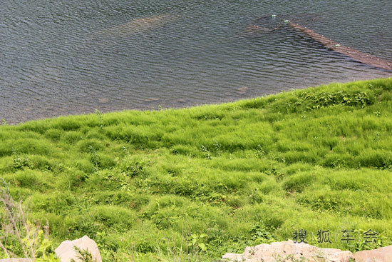 第一次去丹东绿江村,发个小贴晒晒