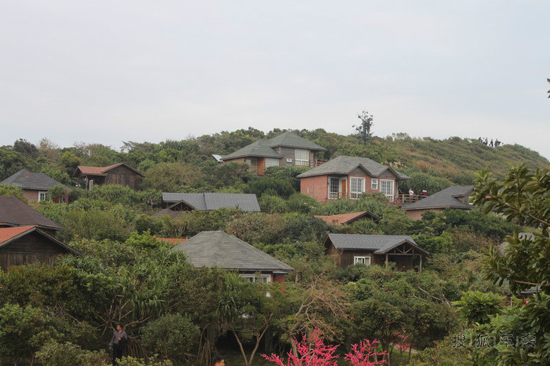 深圳杨梅坑海鲜街_深圳杨梅坑_冰糖杨梅(3)