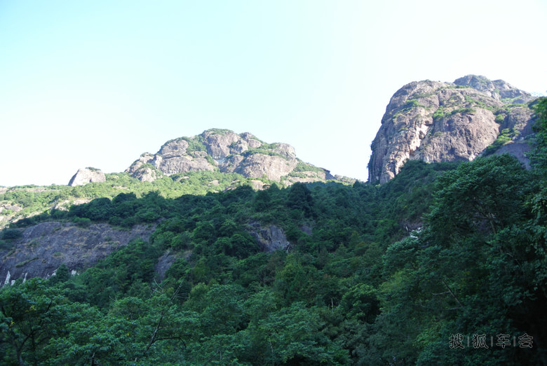 12031472.jpg_s780