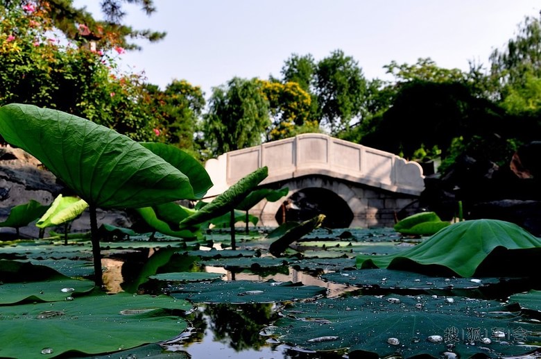 6月25日星期三 60部队打卡(今天限行2、7)_汽