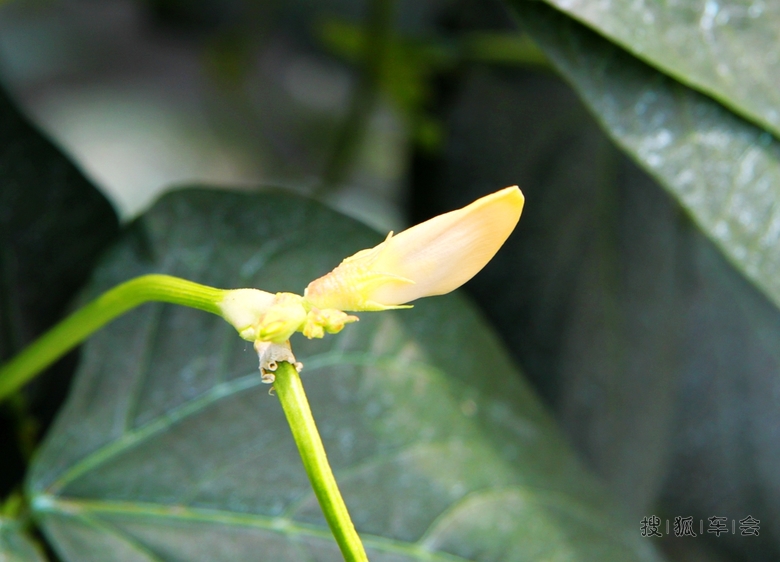 走进新型农村合作社