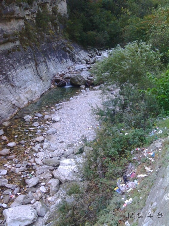 12132349.jpg_s780