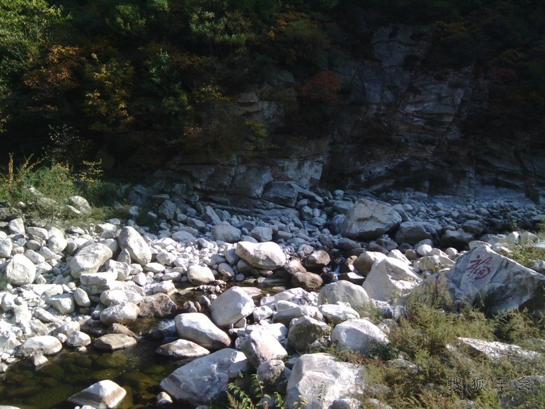 12132372.jpg_s780