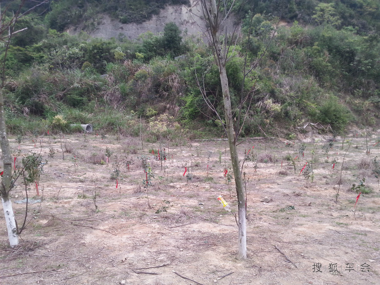 厦门野山谷一日游--寻找2012年车友会集体植树