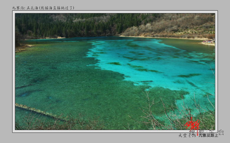 神奇九寨,雪原天堂--六天游九寨、若尔盖、红原