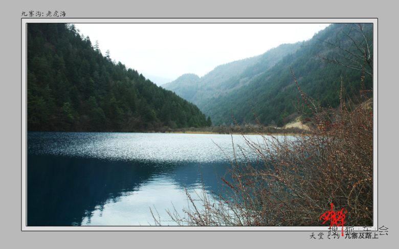 神奇九寨,雪原天堂--六天游九寨、若尔盖、红原