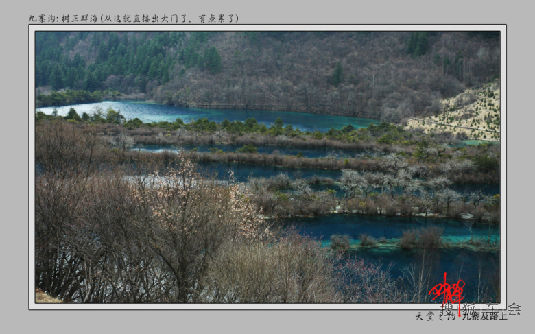 神奇九寨,雪原天堂--六天游九寨、若尔盖、红原