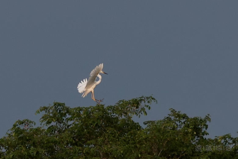 [北大荒中俄边境自驾摄影采线]虎林全境旅游_