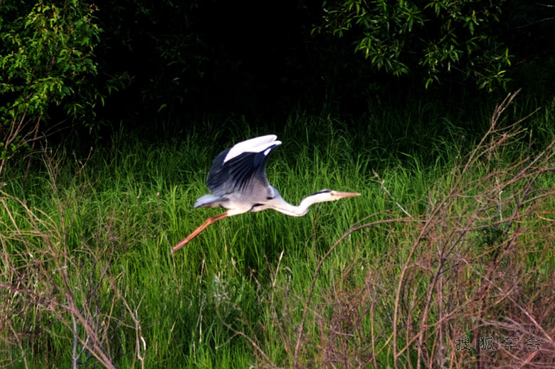 [北大荒中俄边境自驾摄影采线]虎林全境旅游_