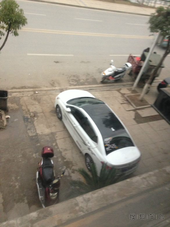 12603733.jpg_s780
