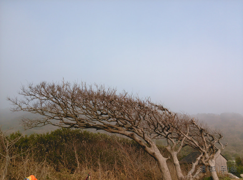 你是海鲜吗郭德纲