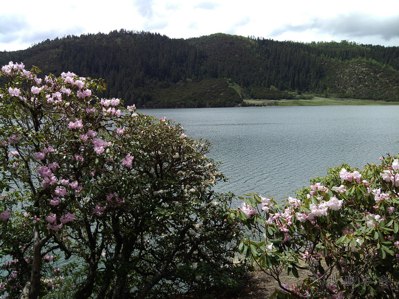 7天丽江、香格里拉、昆明吃喝玩乐全攻略(不可