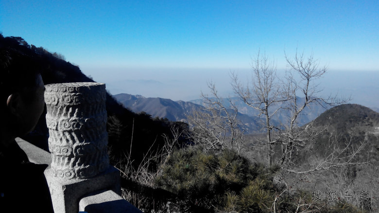 12836302.jpg_s780