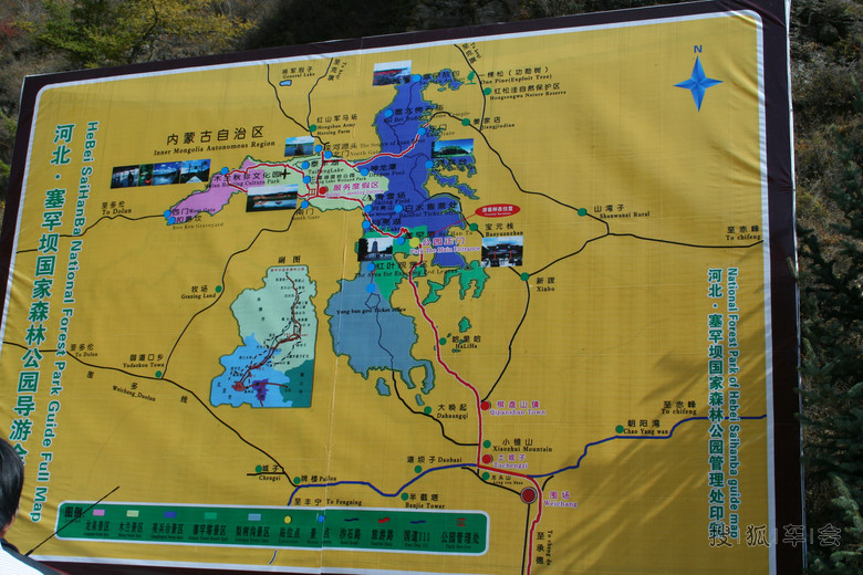 12941033.jpg_s780