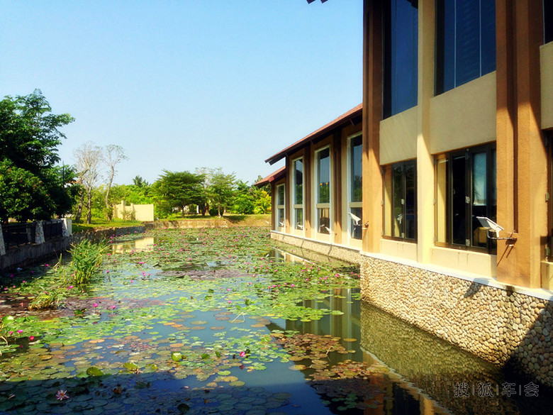 【媳妇当车模】茂名御水古温泉自驾游归来,更