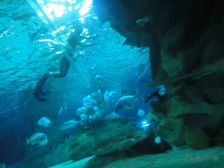 13046488.jpg_s780