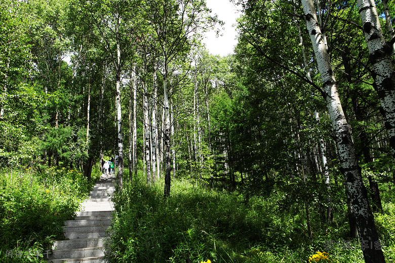 [苏车杂谈0714]想去阿尔山