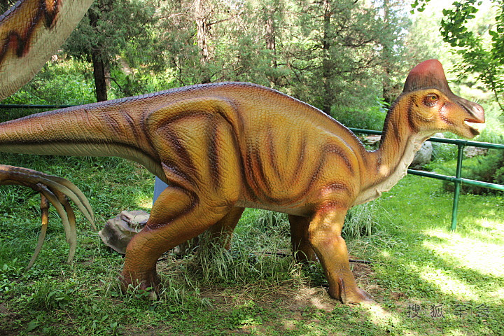 【恐龙时代】地球霸主恐龙