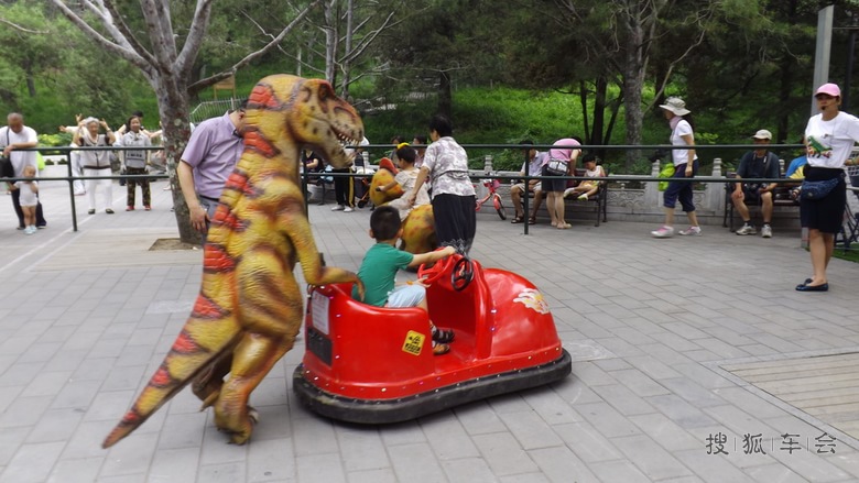 【恐龙时代】时间的穿越恐龙是我的坐骑