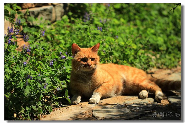 七月十五日 炫丽人生 打卡贴 (今天限行车号 0、