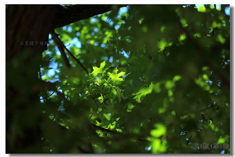 七月十五日 炫丽人生 打卡贴 (今天限行车号 0、