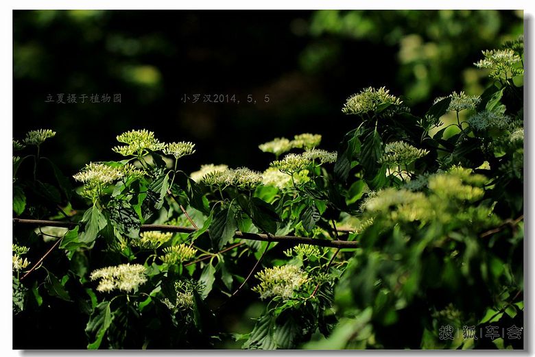 七月十五日 炫丽人生 打卡贴 (今天限行车号 0、