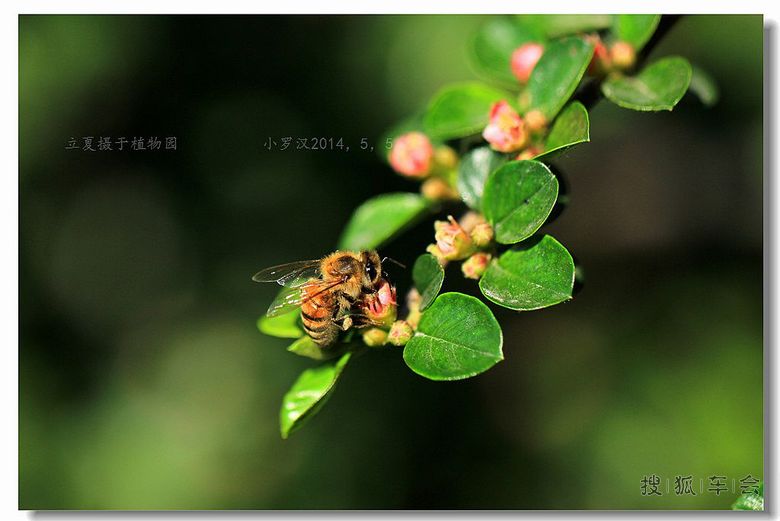 七月十五日 炫丽人生 打卡贴 (今天限行车号 0、