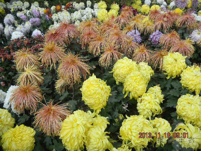 济南二日游 长安马自达CX5用车心得_马自达C