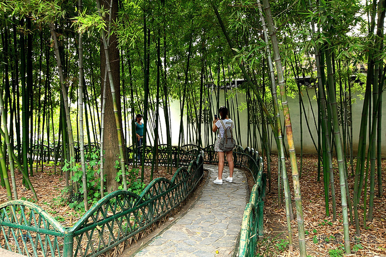 【汽语喧昂0718】夏日沧浪亭