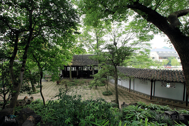 【汽语喧昂0718】夏日沧浪亭