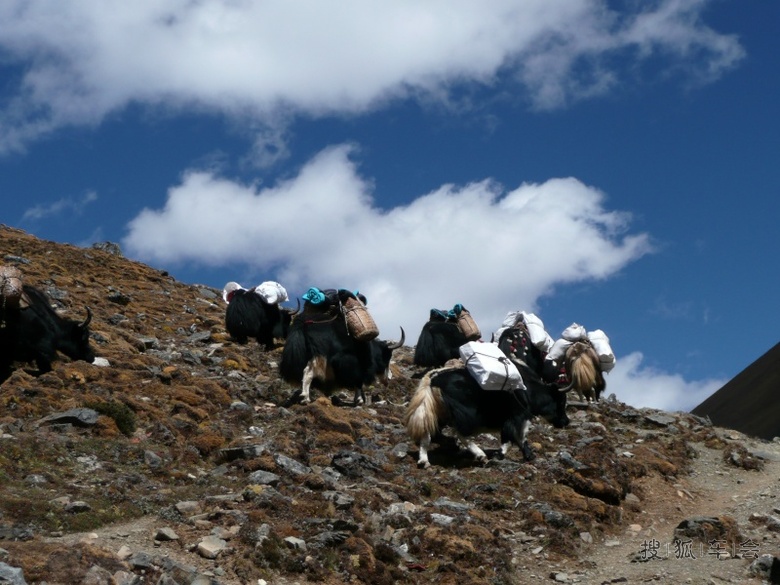 快乐之城_港澳自由行_搜狐车友会