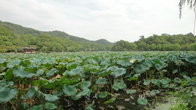 成都到杭州上海一人六日自驾游._比亚迪F0车友