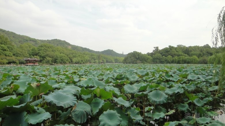 成都到杭州上海一人六日自驾游._比亚迪F0车友