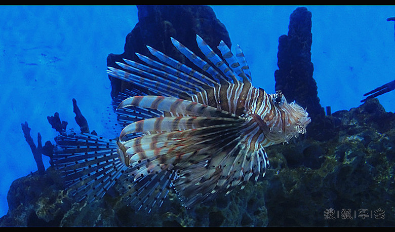 北京人和上海人_北京炫丽人生平车友会