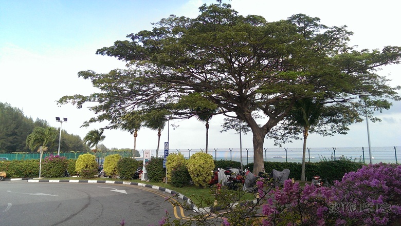 [沪车写手]新加坡民丹岛之达那美拉码头