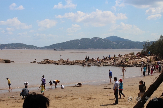 13648118.jpg_s780