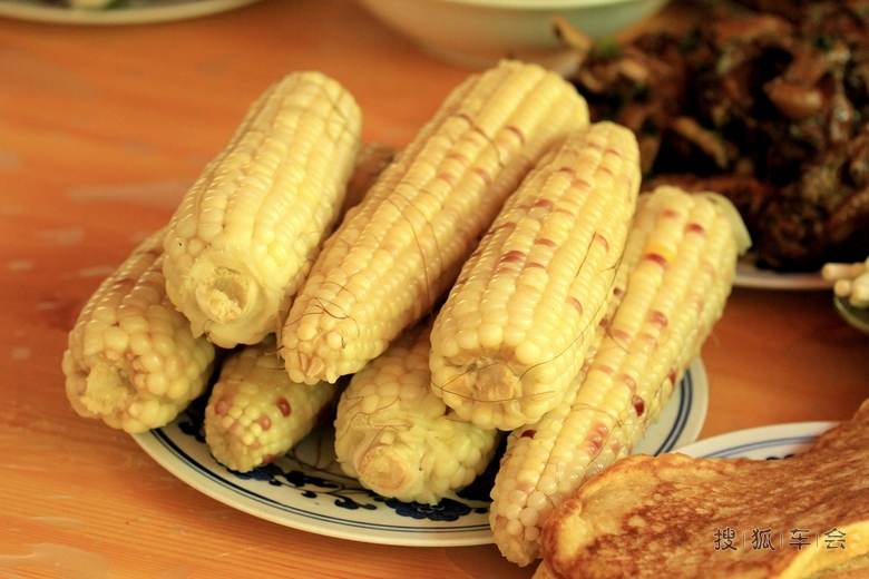 到青山绿水的地方吃农家饭