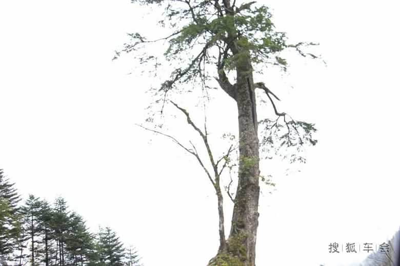 国庆M4川西小环线自驾游及认证_长城M4车友