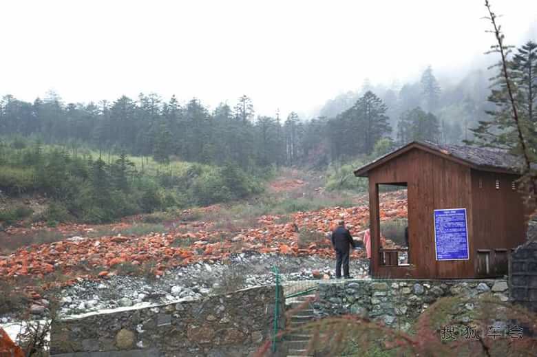 国庆M4川西小环线自驾游及认证_长城M4车友