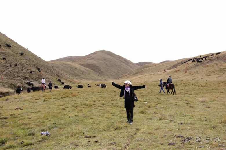 国庆M4川西小环线自驾游及认证_长城M4车友