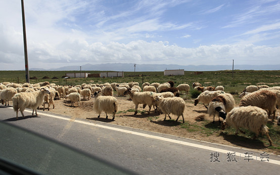 一不做二不休,等拿到欧力威我就去青海湖