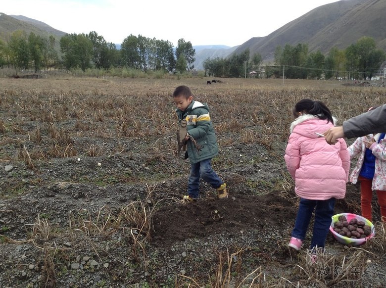 献上美图,自驾车去康定,美得就像画一样!申精!