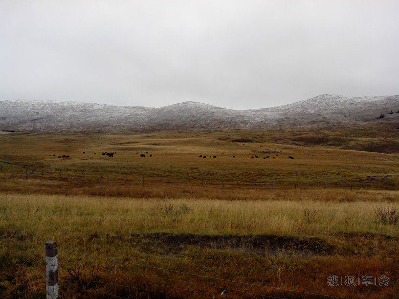 献上美图,自驾车去康定,美得就像画一样!申精!