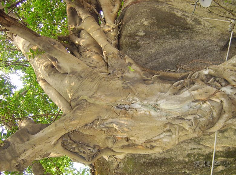 福建泉州偶遇惠安女_北京比亚迪S6