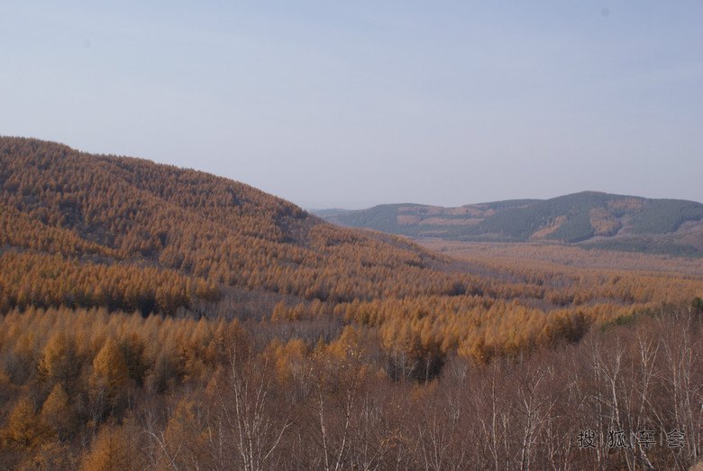 13938155.jpg_s780