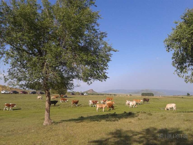 智远军团--7月24日锡林郭勒大草原自驾游(三)_