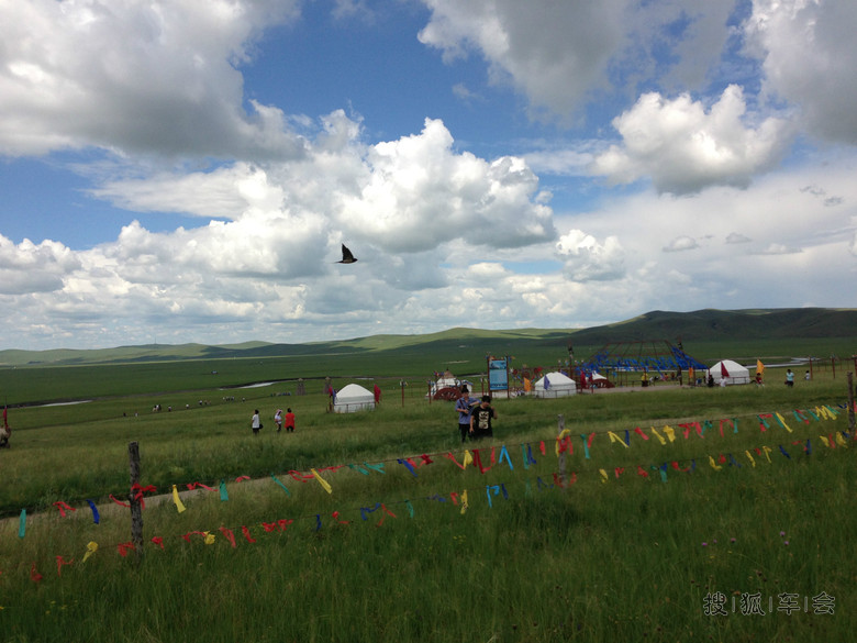 X5提车内蒙呼伦贝尔草原自驾游 求认证