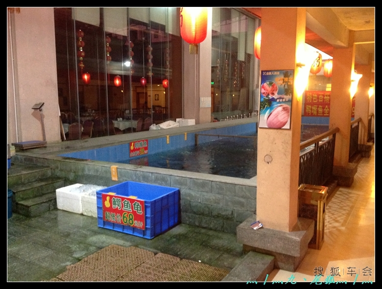 酒店海鲜养鱼池_阳台养鱼池_酒店客房(2)